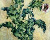 克劳德 莫奈 : Purple Poppies